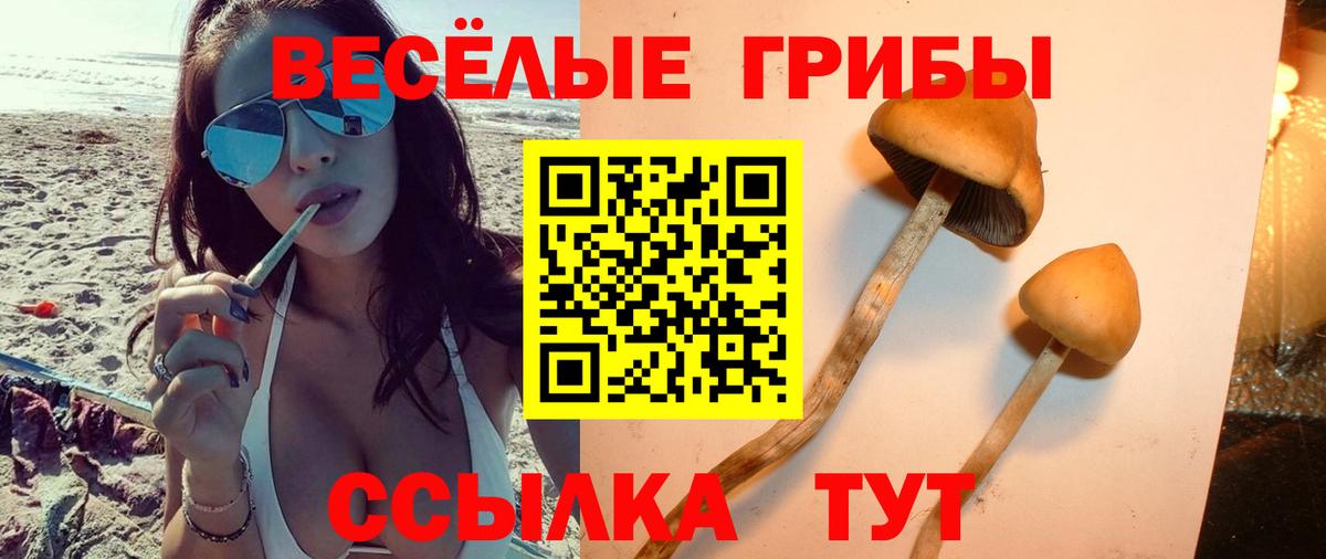 Галлюциногенные грибы Psilocybine cubensis  Галлюциногенные грибы мухоморы  Вход с VPN  Ижевск 